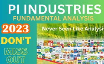 pi industries fundamental analysis